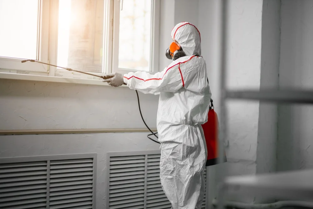 Professional mold remediation services in Berkeley, IL